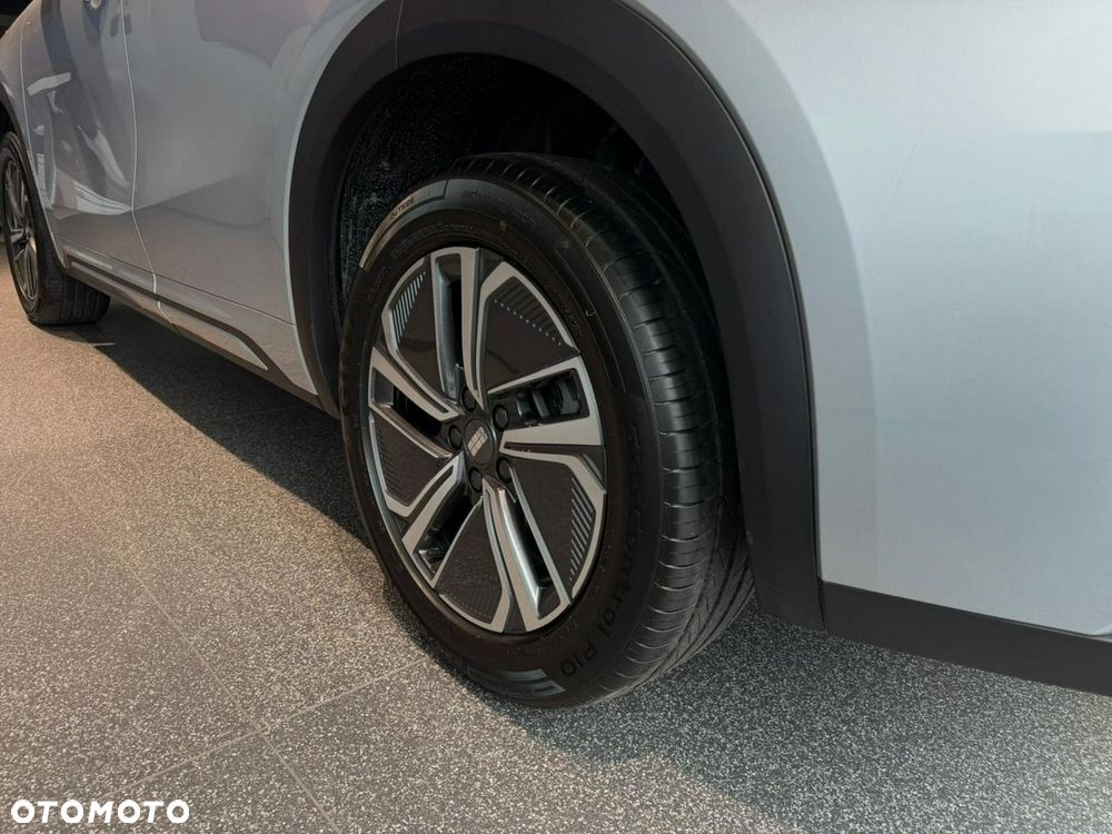 Geely Starray - 10