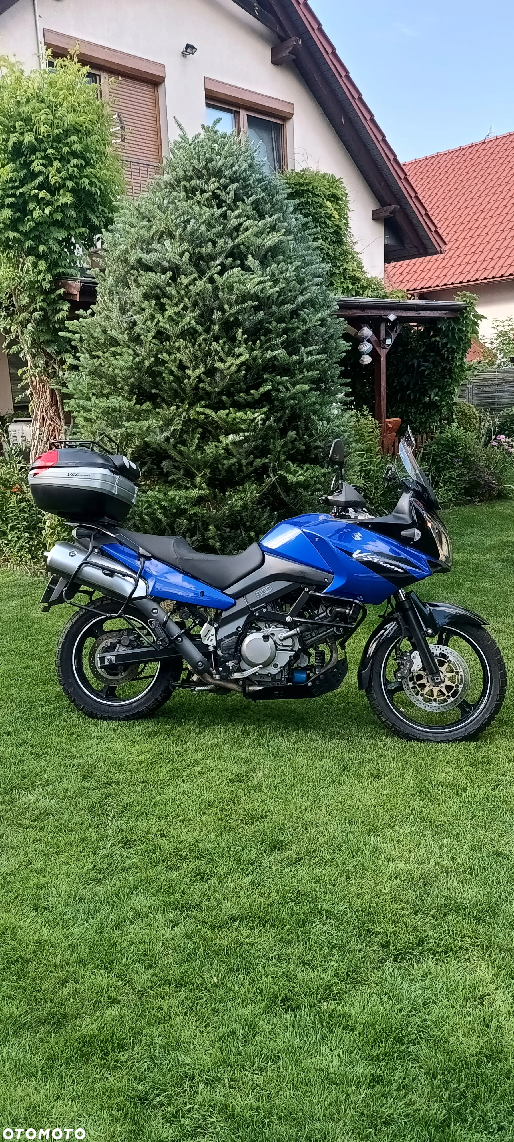 Suzuki DL
