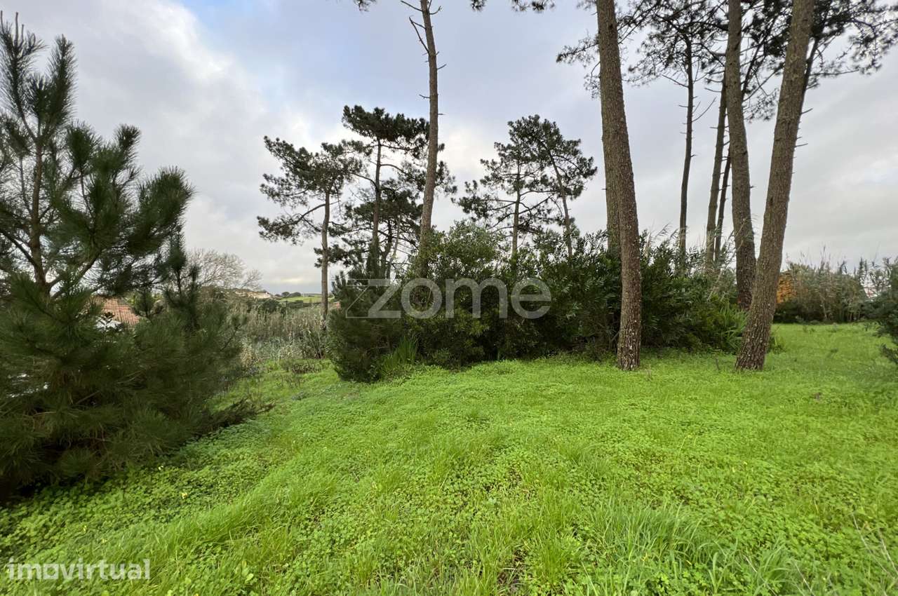 Terreno urbano 3250m2 Gouveia-Fontanelas-Sintra - Grande imagem: 5/16