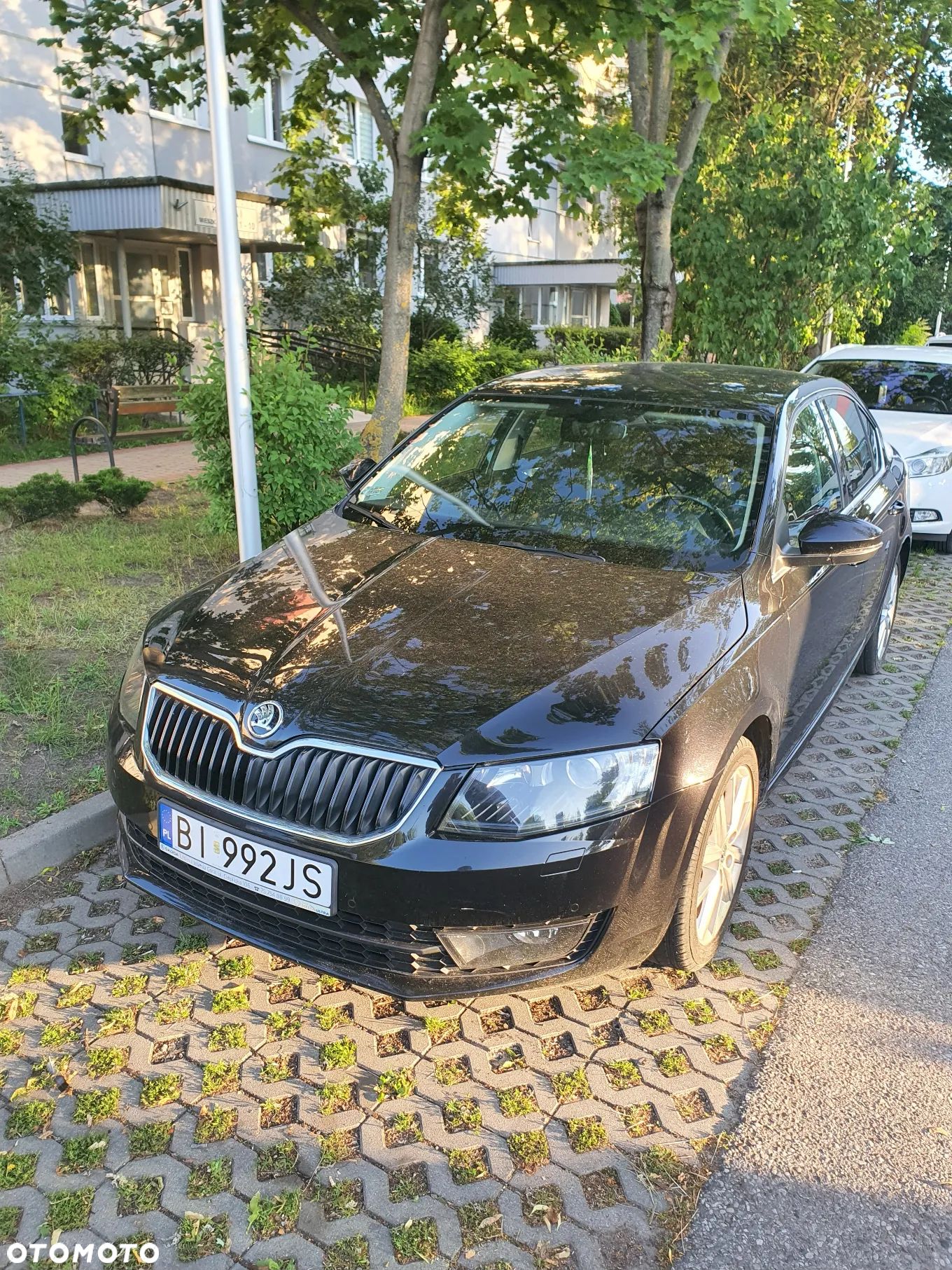 Skoda Octavia 1.4 TSI Ambition - 1