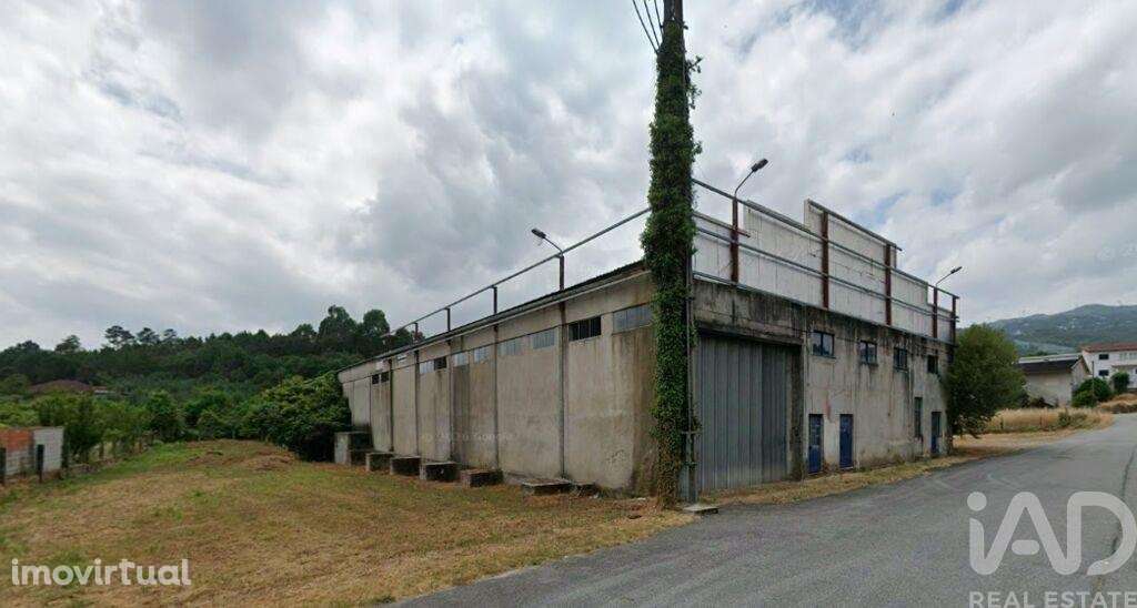 Hangar em Campo de Besteiros de 1664,00 m2 - Grande imagem: 4/7