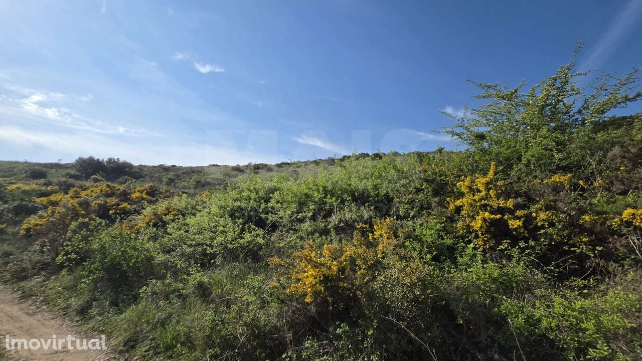 Terreno Rústico C/ Vista desafogada - Grande imagem: 3/11