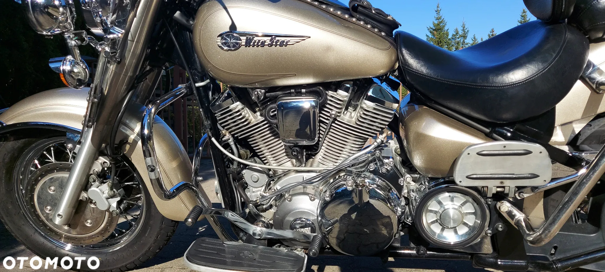 Yamaha Wild star - 5