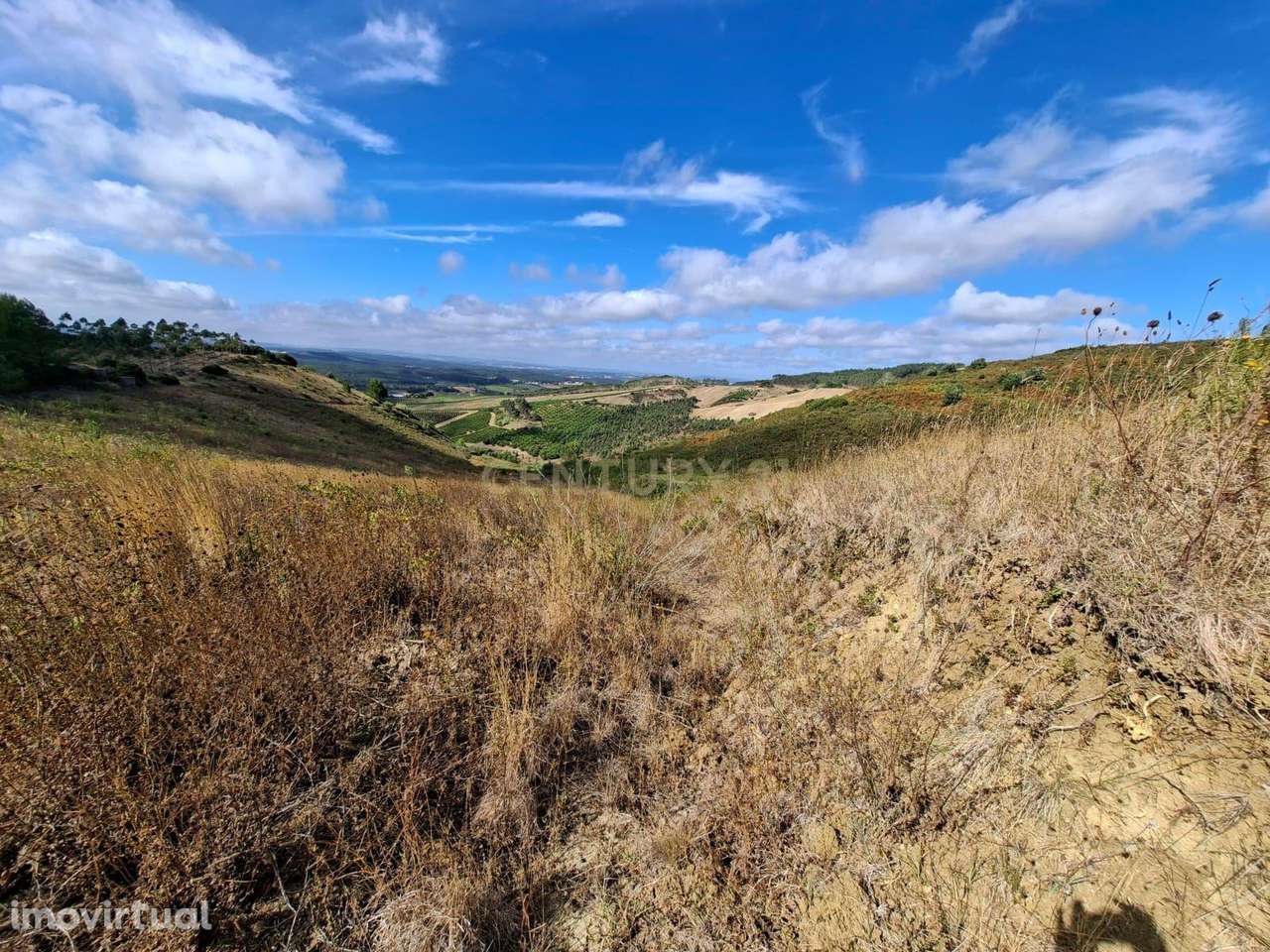 Terreno Rústico c/ 2 Artigos, Arrecadação e Tanque – Antigas Vinhas! - Grande imagem: 5/14