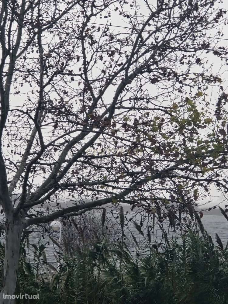 Armazéns e actividade industrial com terreno, para venda em Vila Franc - Grande imagem: 5/5