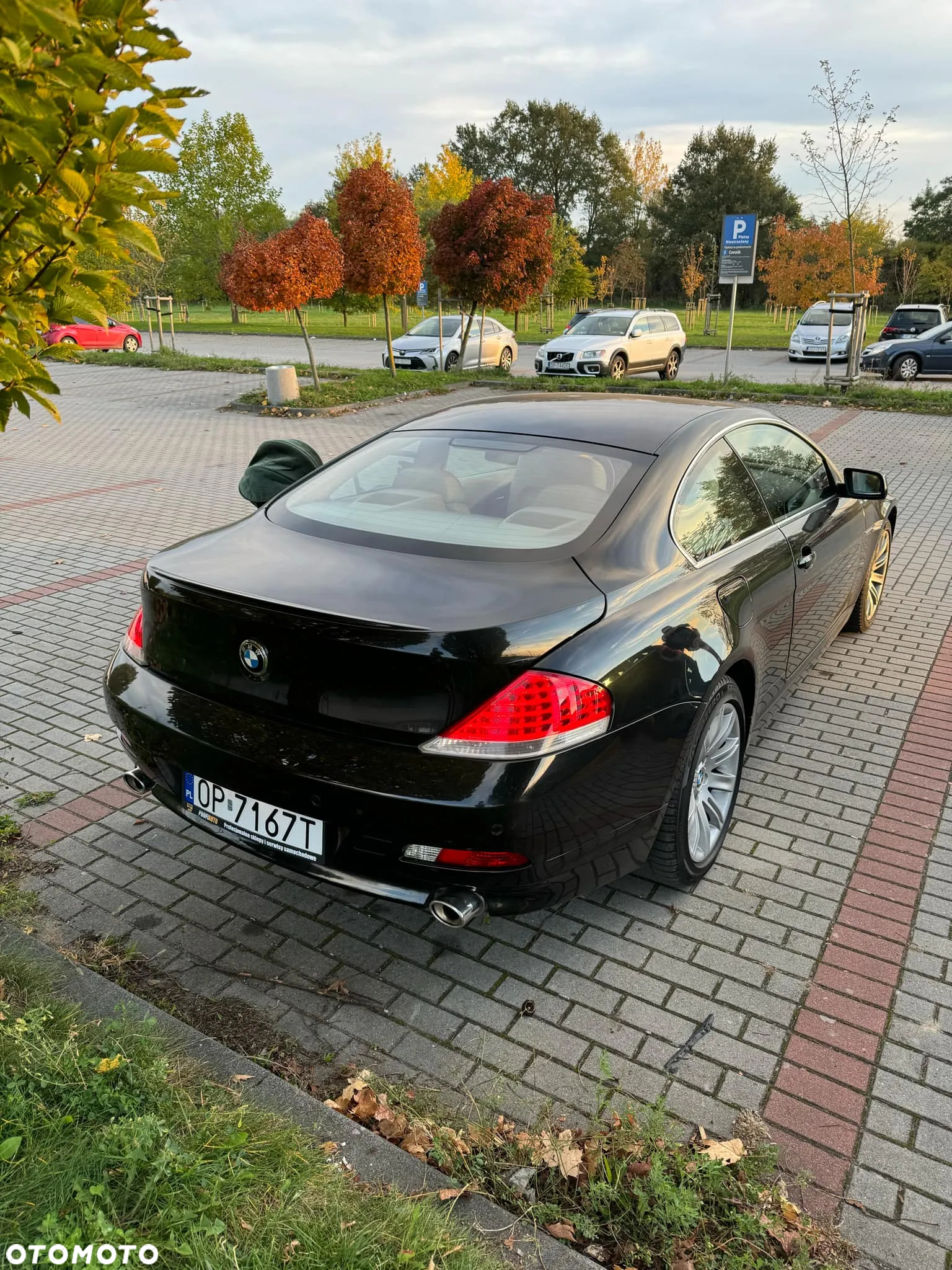 BMW Seria 6 645 Ci - 6