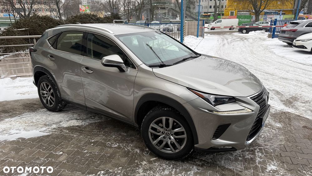 Lexus NX - 11