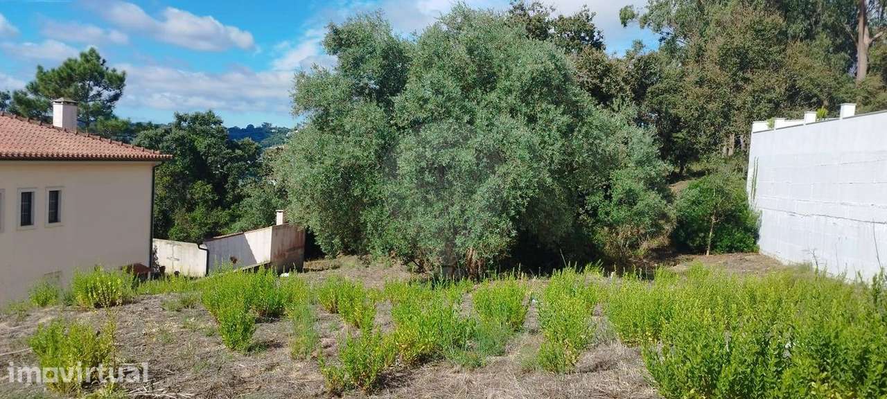 Terreno  para venda - Grande imagem: 5/6