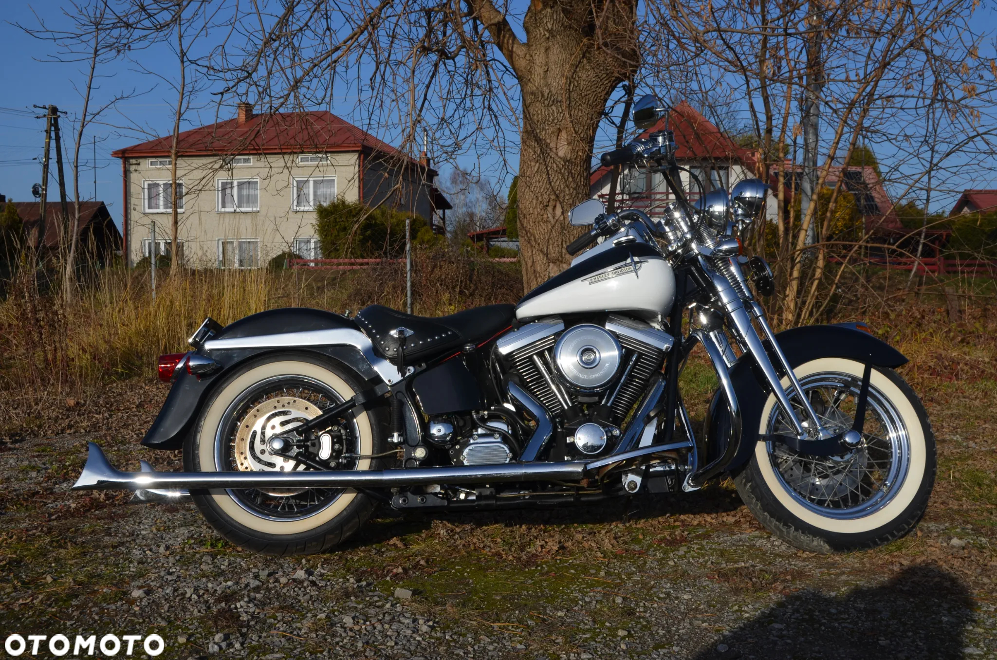 Harley-Davidson Softail Springer Classic - 18
