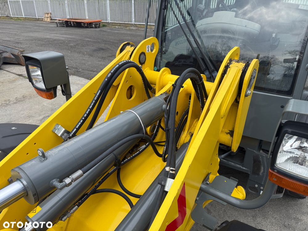 Wacker Neuson Ładowarka WL52 - 13