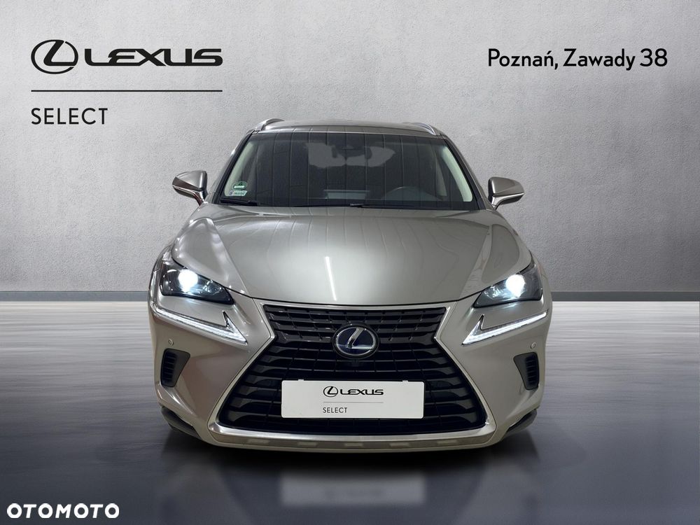 Lexus NX 300h Business Edition AWD - 8