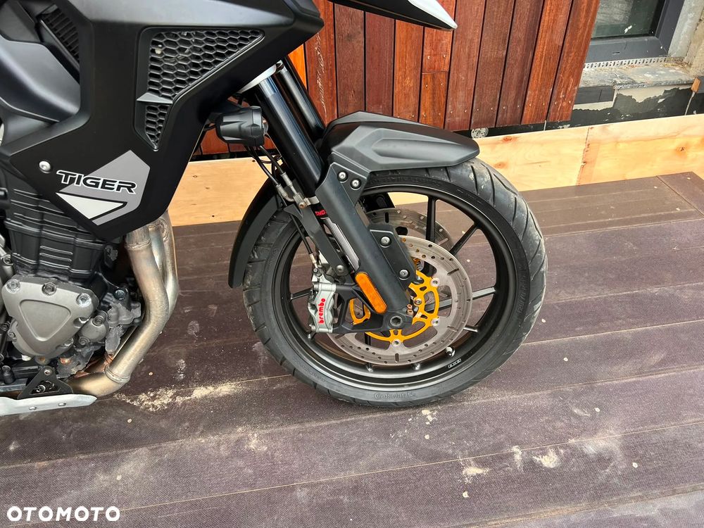 Triumph Tiger - 18