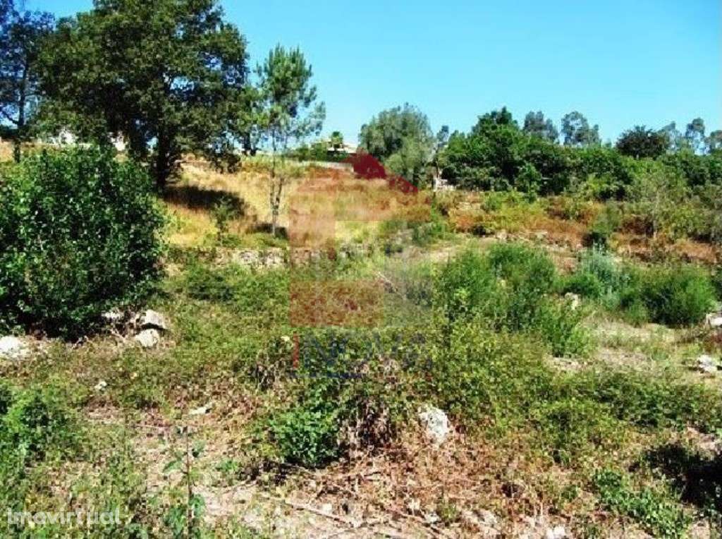 Terreno em Ponte, Vila Verde - Grande imagem: 2/4