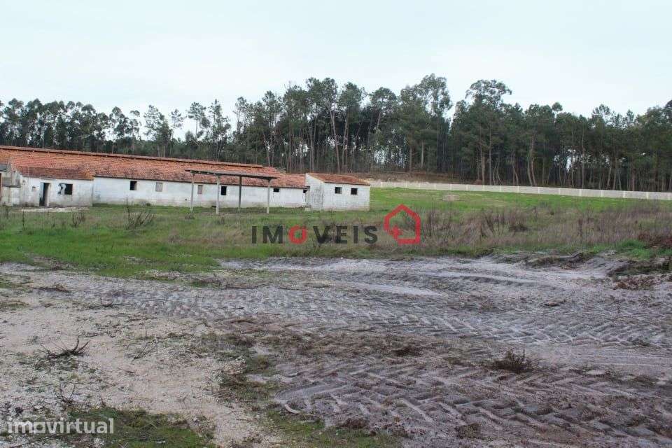 ***Terreno c/ 37.000m2 *** - Grande imagem: 4/19