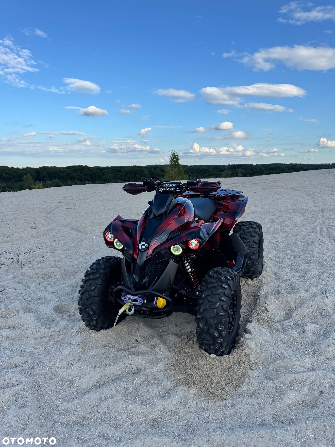 Can-Am Renegade - 1