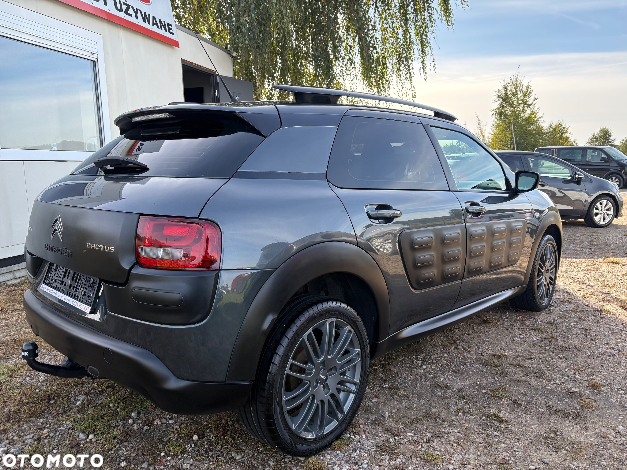 Citroën C4 Cactus 1.6 e-HDi Shine ETG - 4