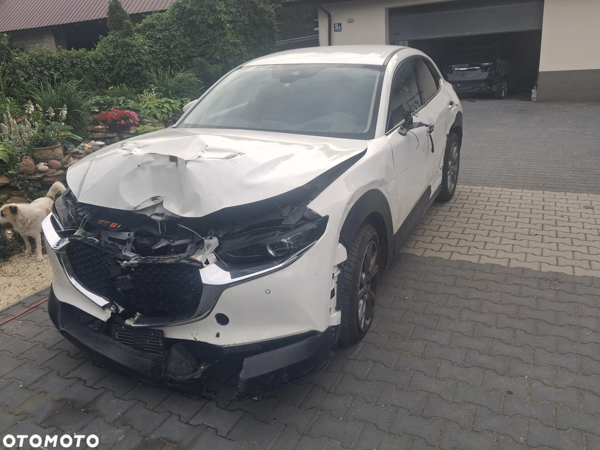 Mazda CX-30 2.0 mHEV Exclusive-Line 2WD - 7