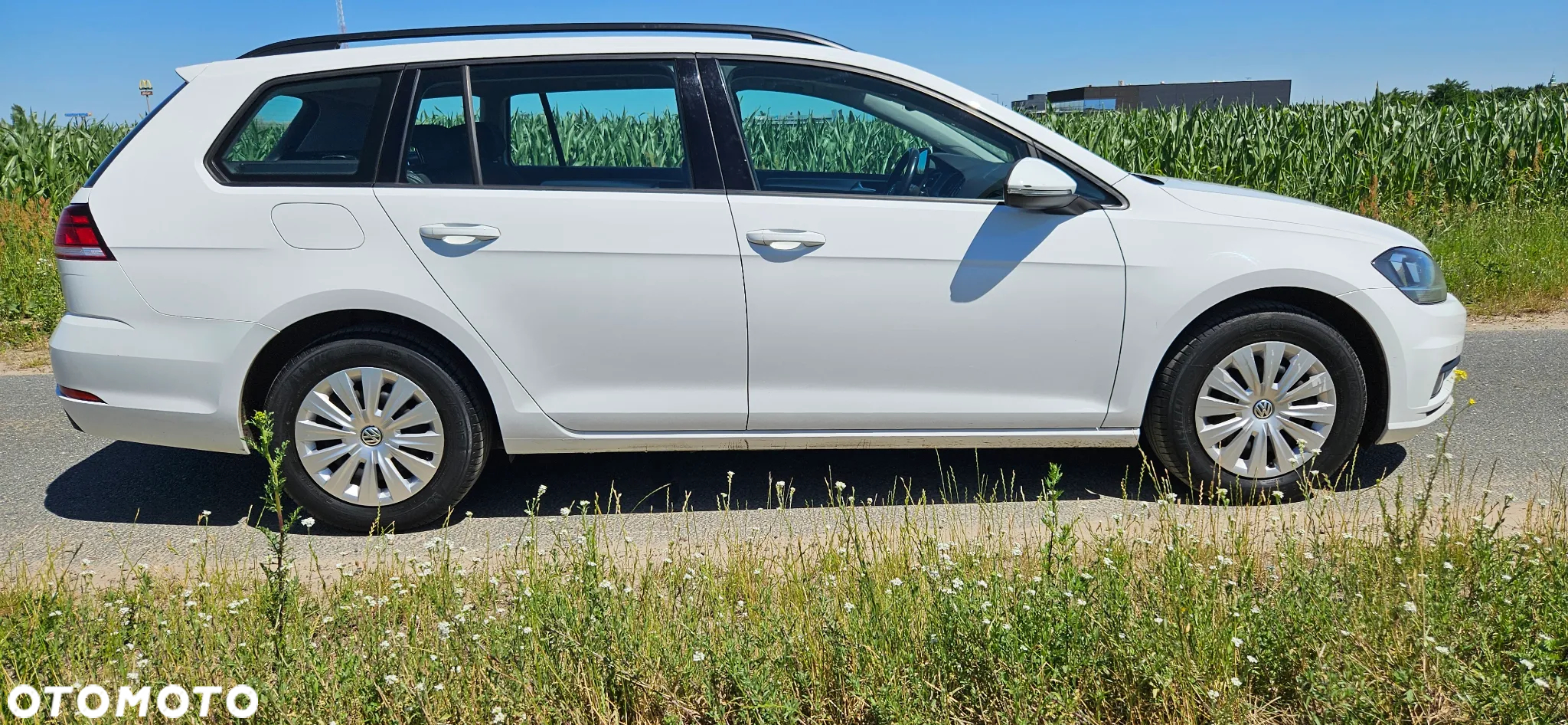 Volkswagen Golf VII 1.6 TDI BMT Trendline EU6 - 2
