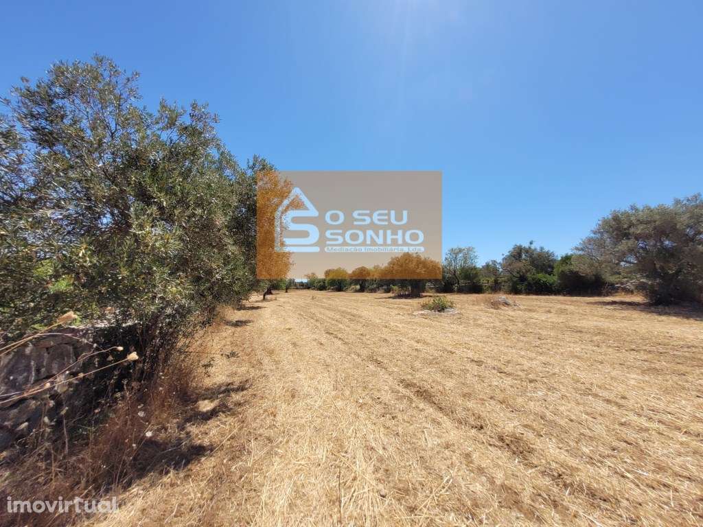 Terreno Rústico Plano - 8.840 m² - Grande imagem: 4/12