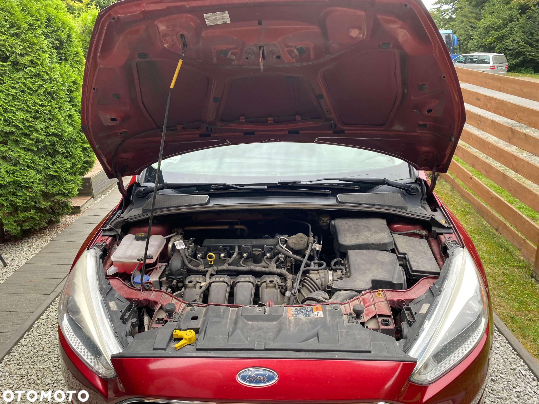 Ford Focus - 9
