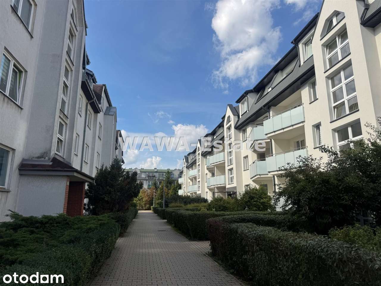 Dwa pokoje, widna kuchnia, balkon, prywatność.