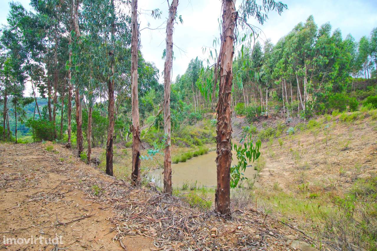 Ruína  T4 de 140 m2, inserida num terreno urbano amplo de 6732 m2, loc - Grande imagem: 2/16