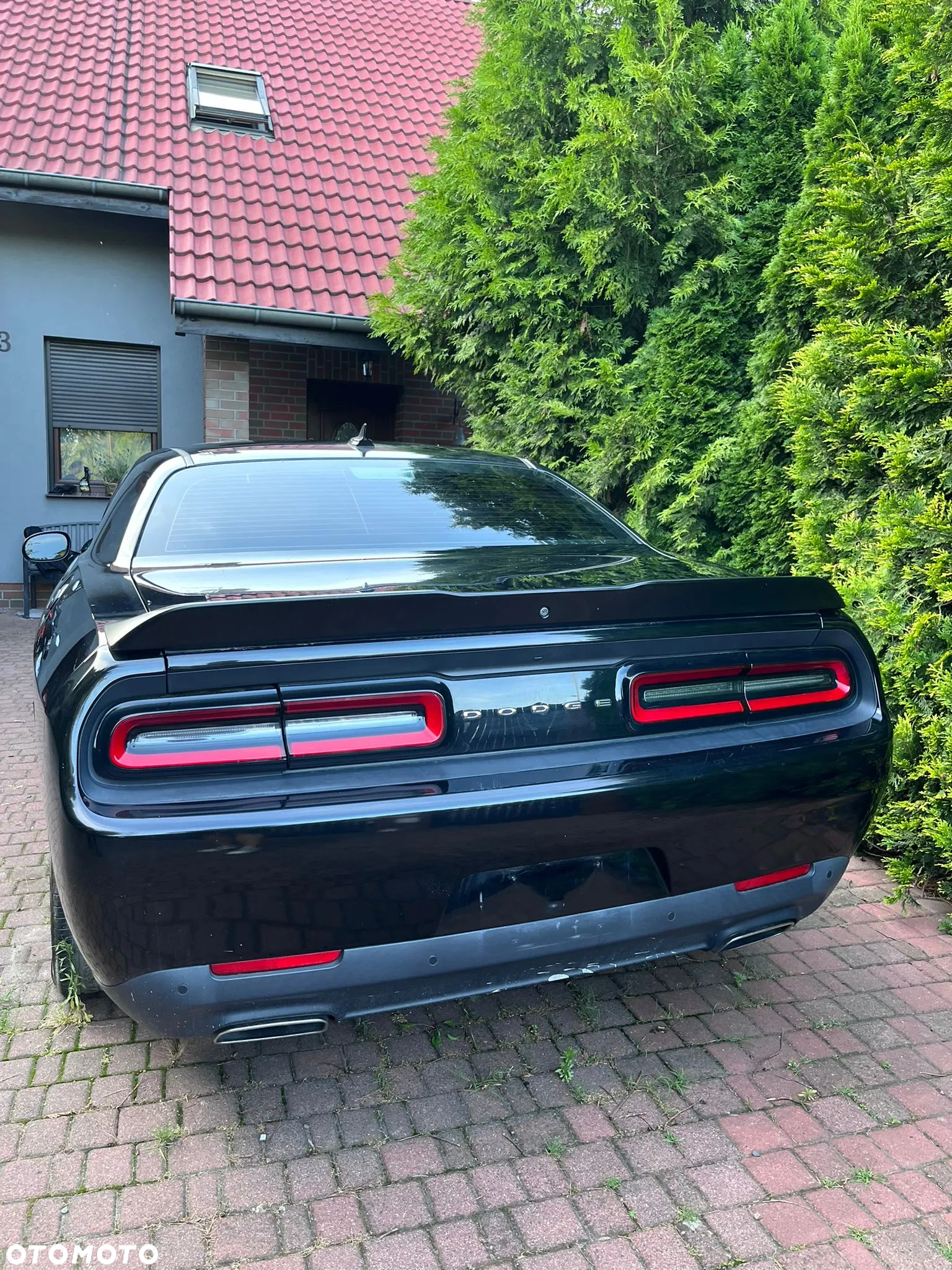 Dodge Challenger 3.6 SXT Plus - 7