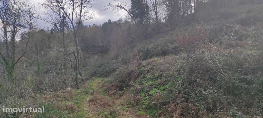Terreno Agrícola - Moimenta / Terras de Bouro - Grande imagem: 5/7