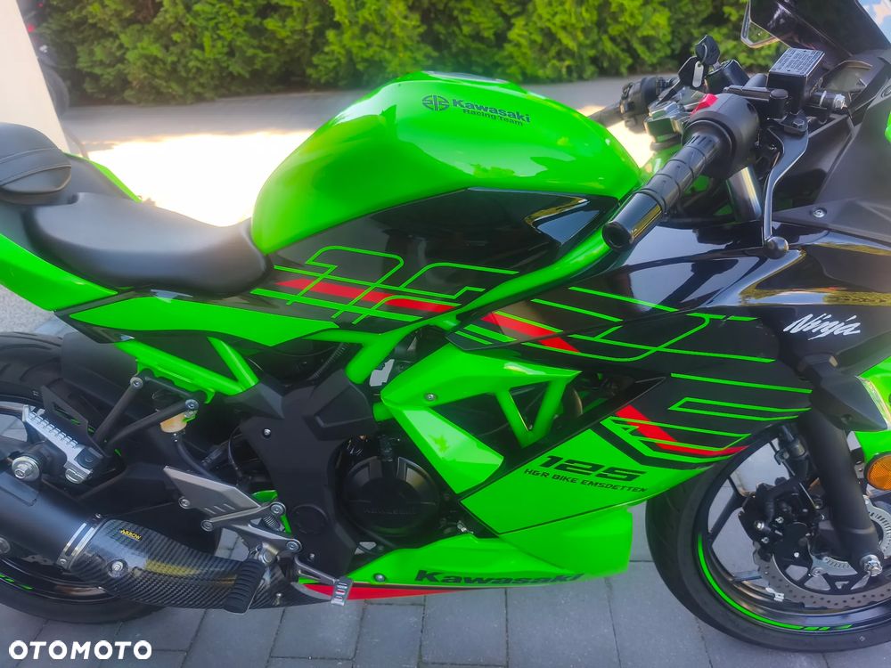 Kawasaki Ninja - 11