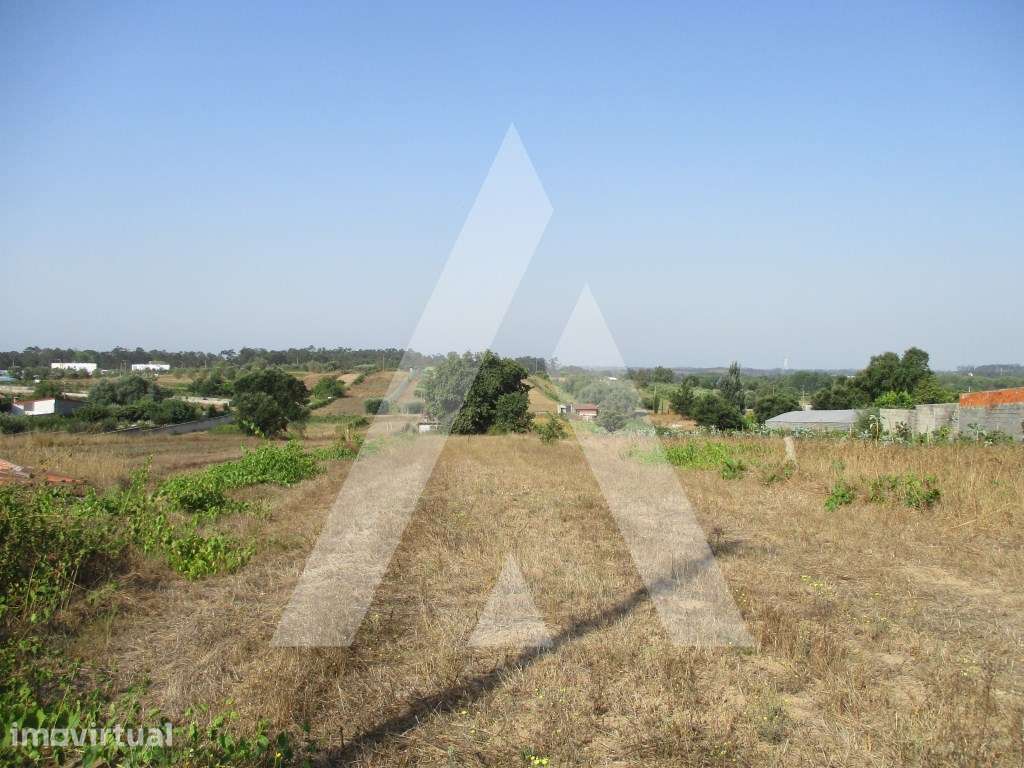 Terreno em Fermentelos - Grande imagem: 5/6