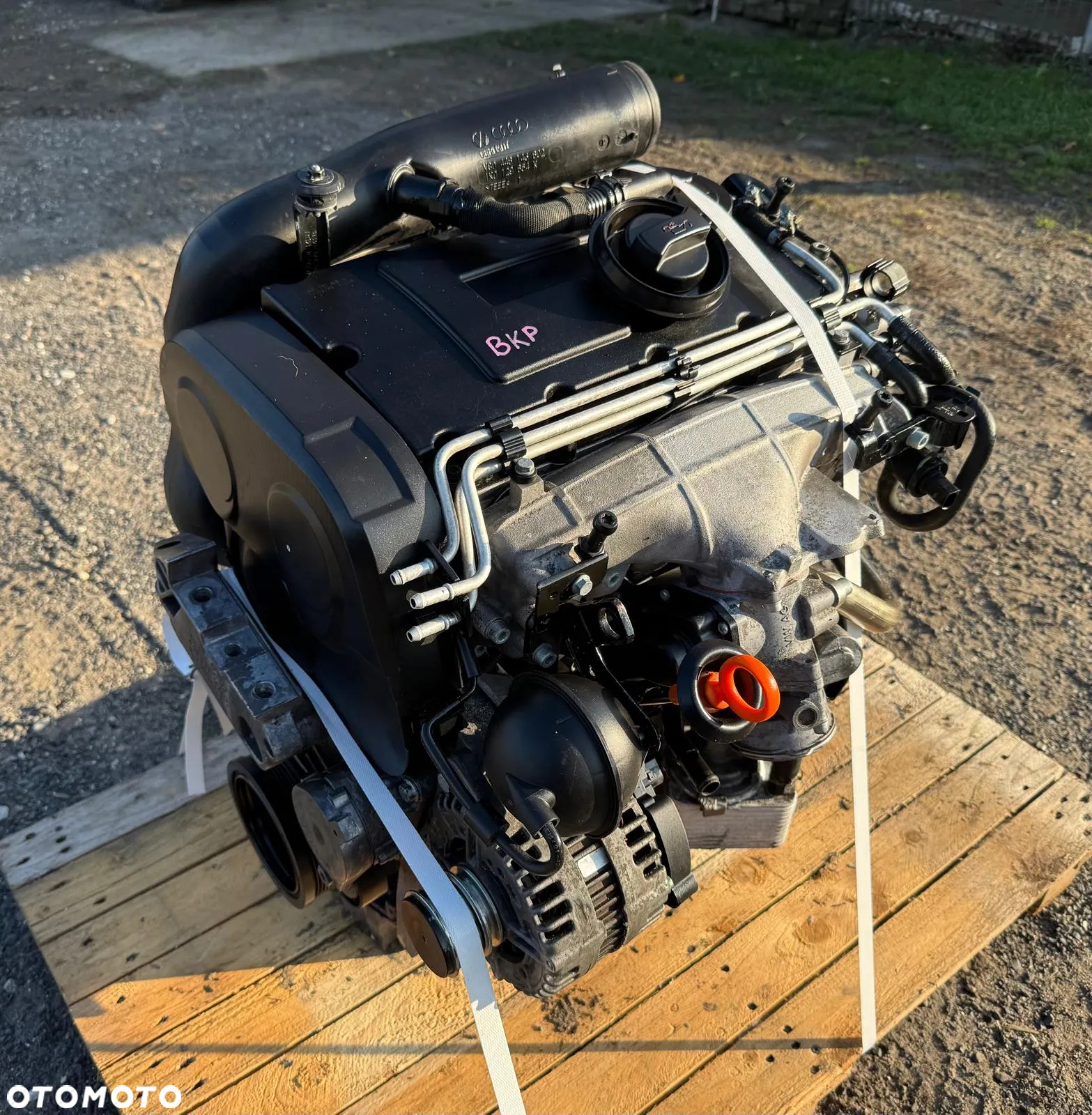 Silnik 2.0 TDI BKP KOMPLETNY - 2