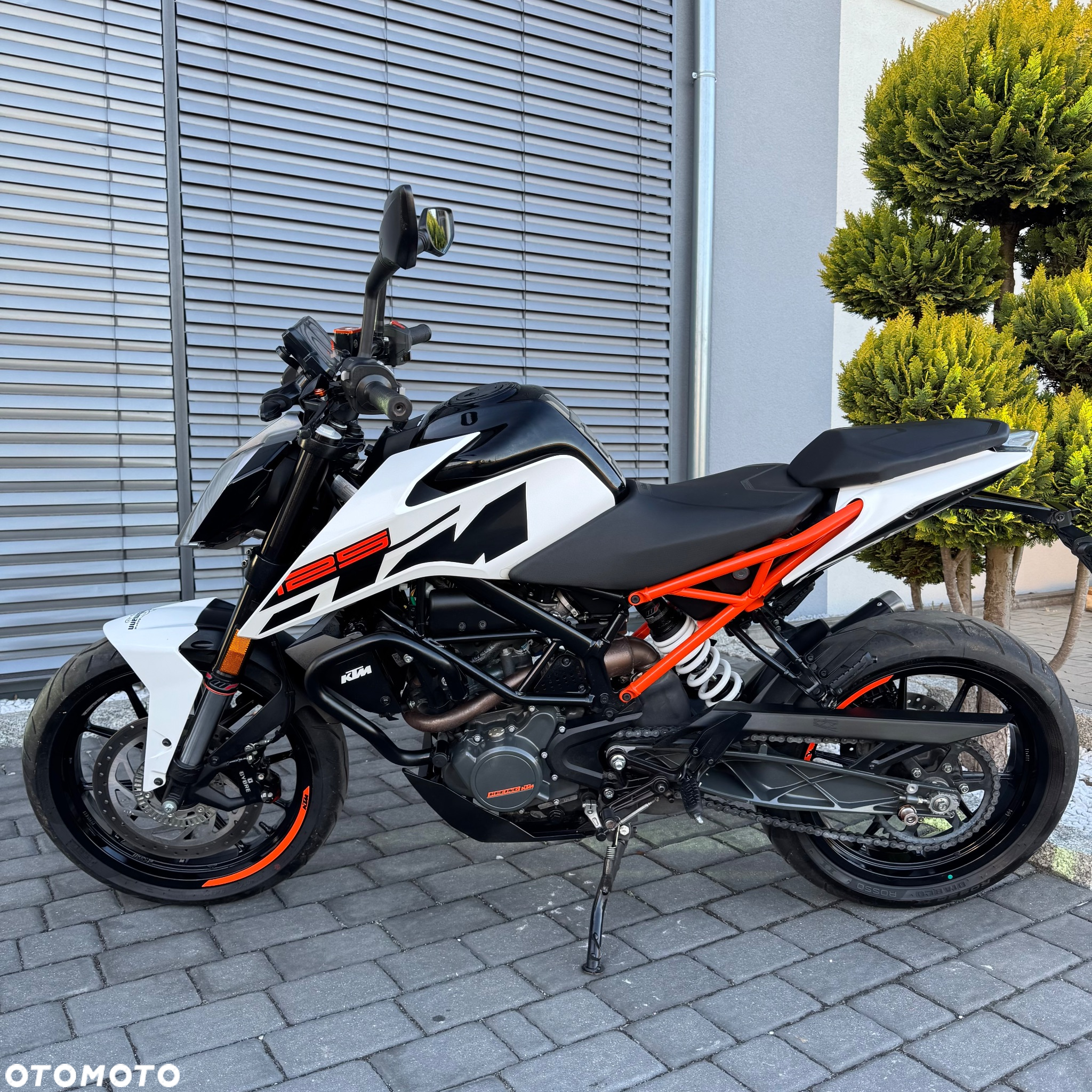 KTM Duke - 11