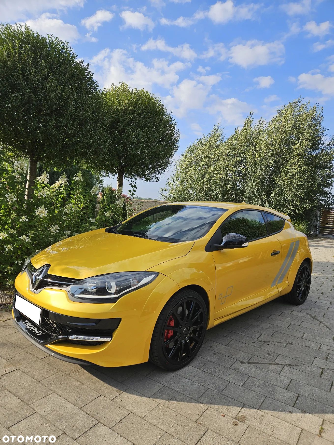 Renault Megane R.S SL Trophy - 1