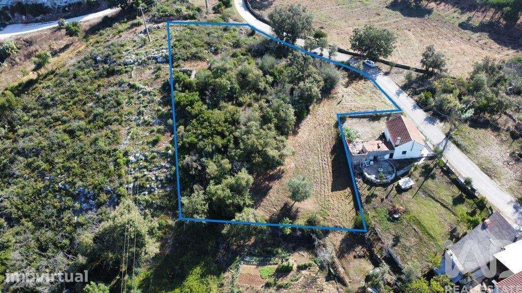 Terreno Agrícola em Santiago da Guarda - Grande imagem: 3/14