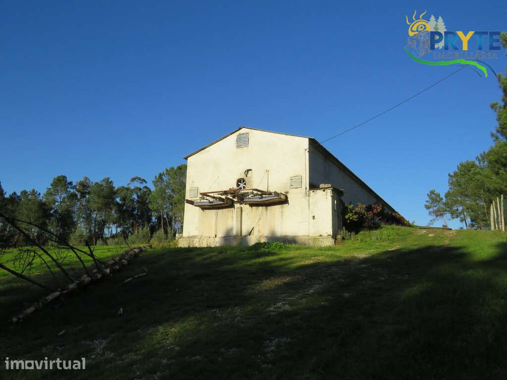 Imóvel com afetação urbana para armazém e atividade industrial - Grande imagem: 5/24