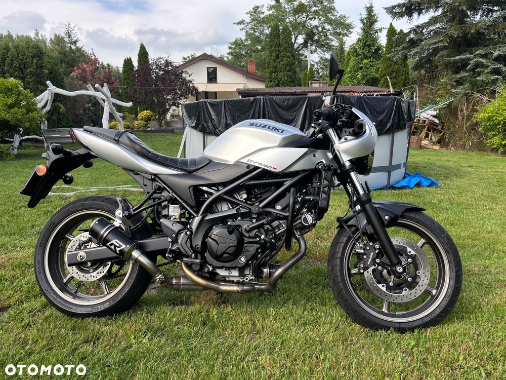 Suzuki SV - 2