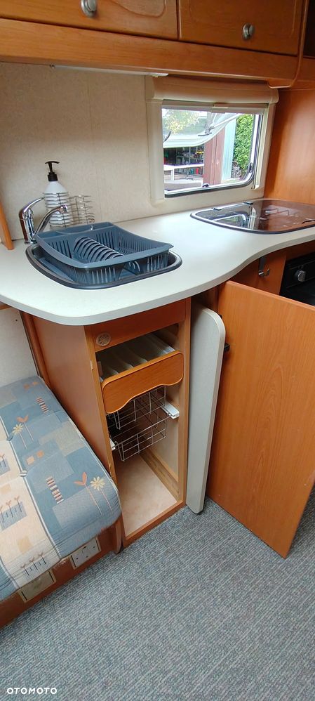 Bailey Ranger - 20