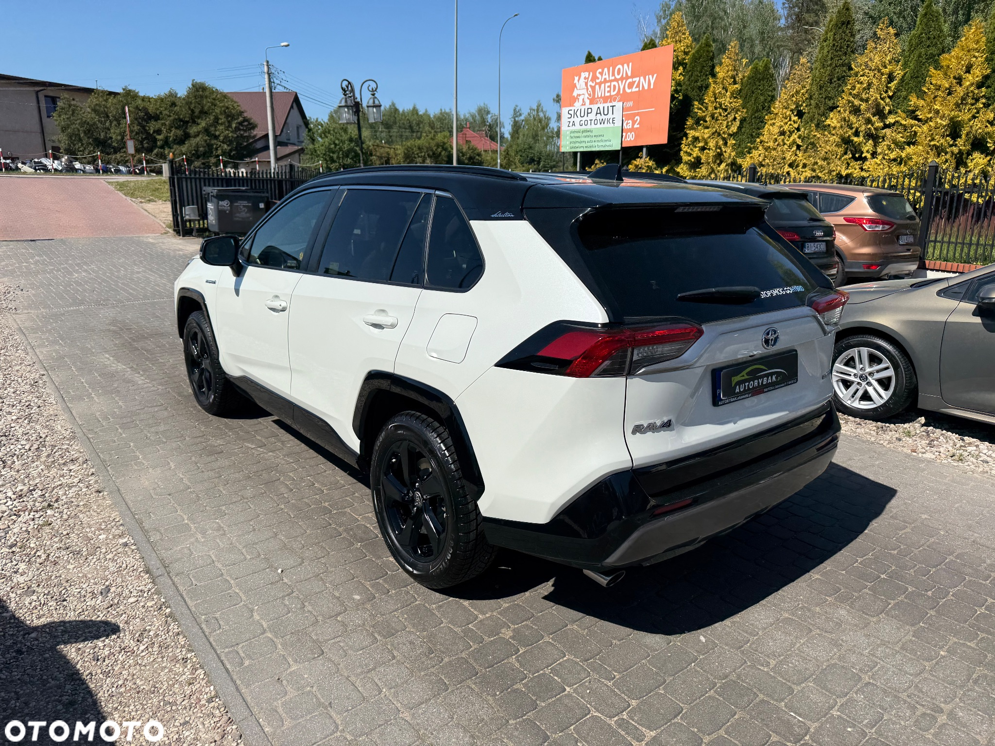 Toyota RAV4 2.5 Hybrid Selection 4x2 - 39