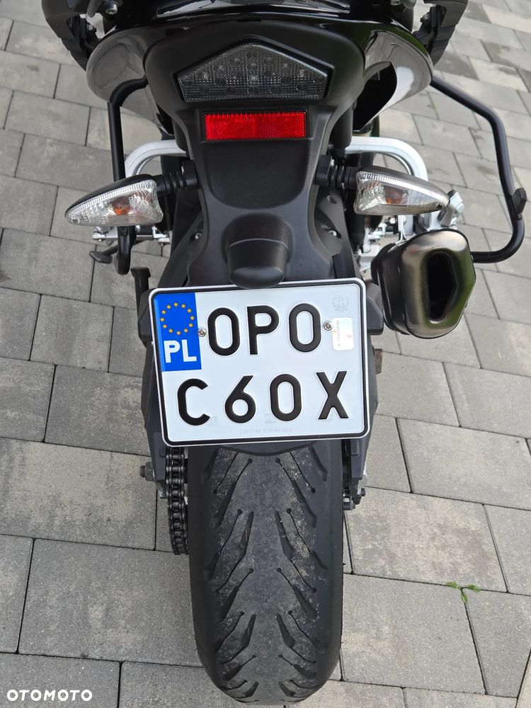 Triumph Tiger - 19