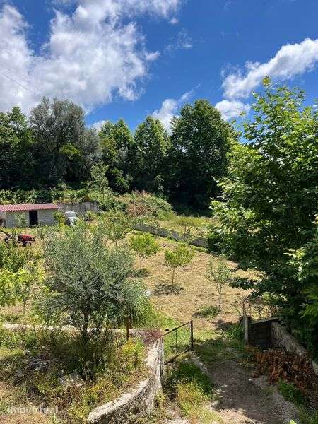 Vendo casa e terrenos - Grande imagem: 2/7
