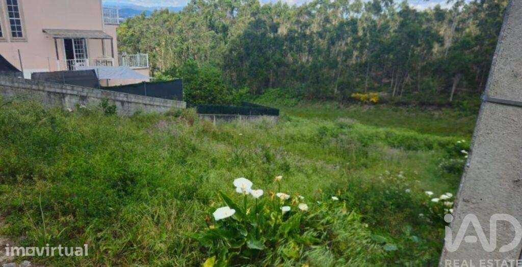Terreno para construção em Laundos - Grande imagem: 4/7