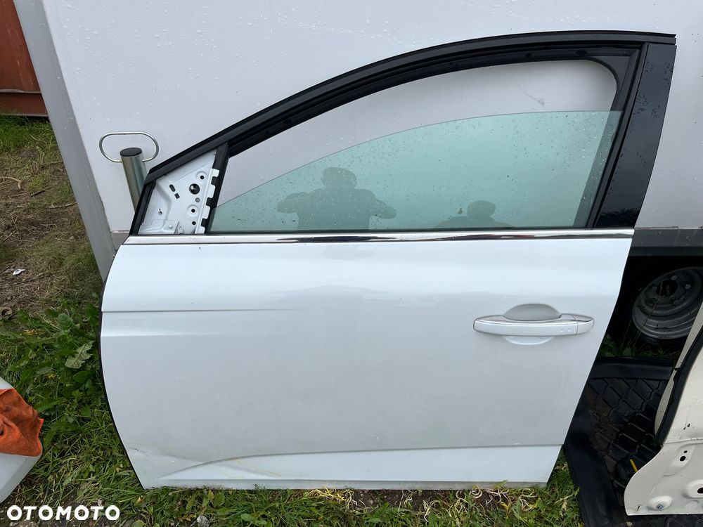 Drzwi przednie lewe Renault Megane IV TEQNC - 1