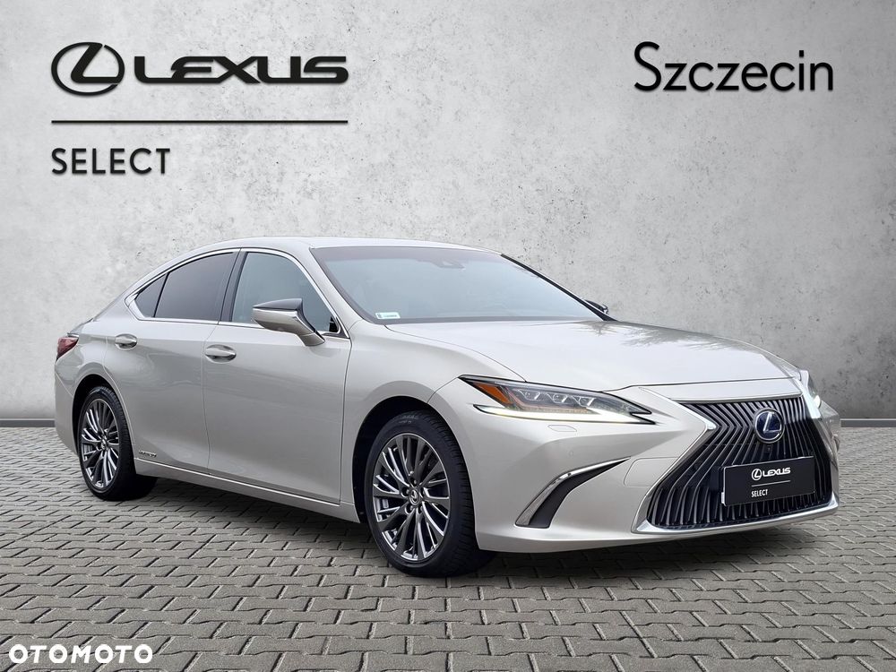 Lexus ES 300h Omotenashi - 5