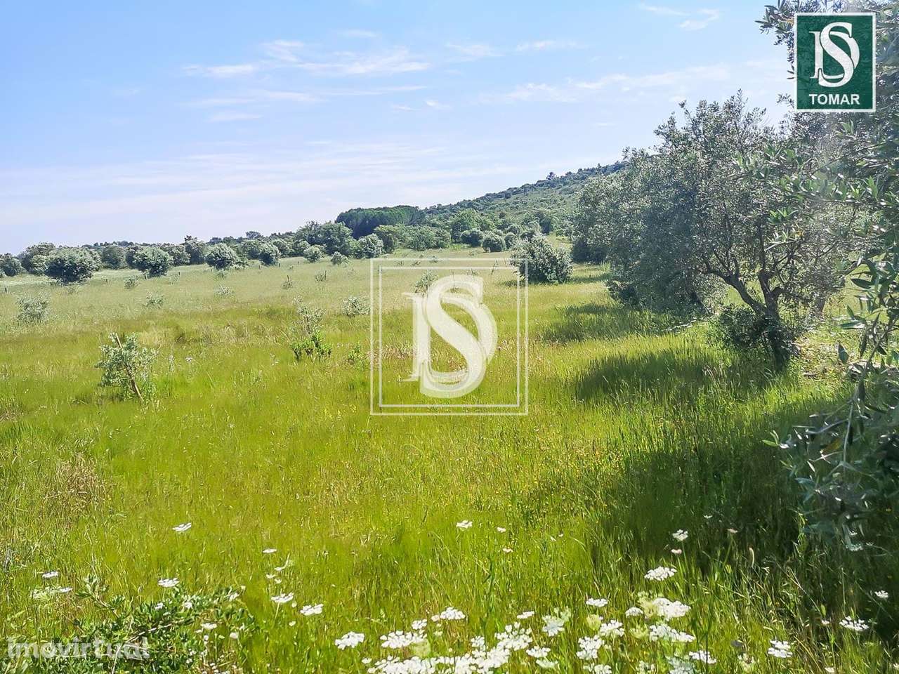 Terreno  em Chãos - Grande imagem: 5/9