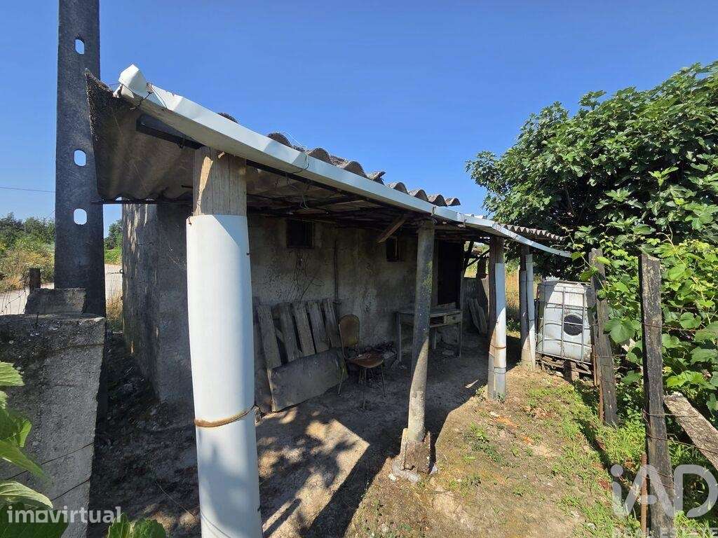 Terreno Agrícola em Santa Comba Dão e Couto do Mosteiro - Grande imagem: 3/10