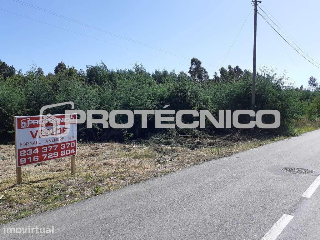 Terreno c/ 7.300m2 – Azenhas de Baixo - Grande imagem: 3/13