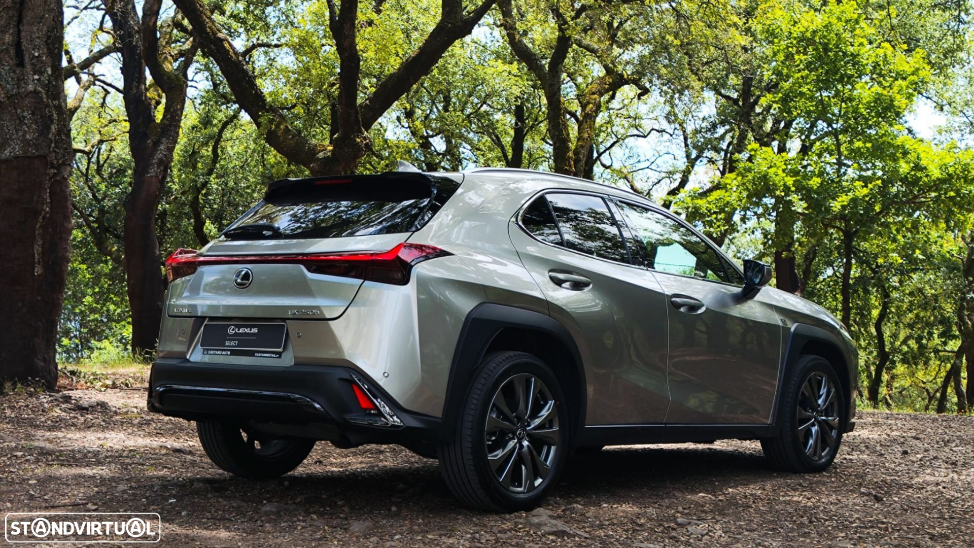 Lexus ux-250h Sport - 5