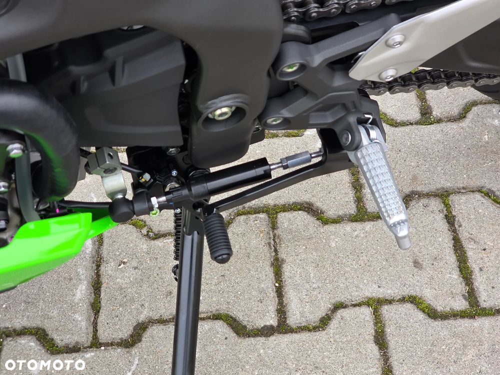 Kawasaki Ninja - 15