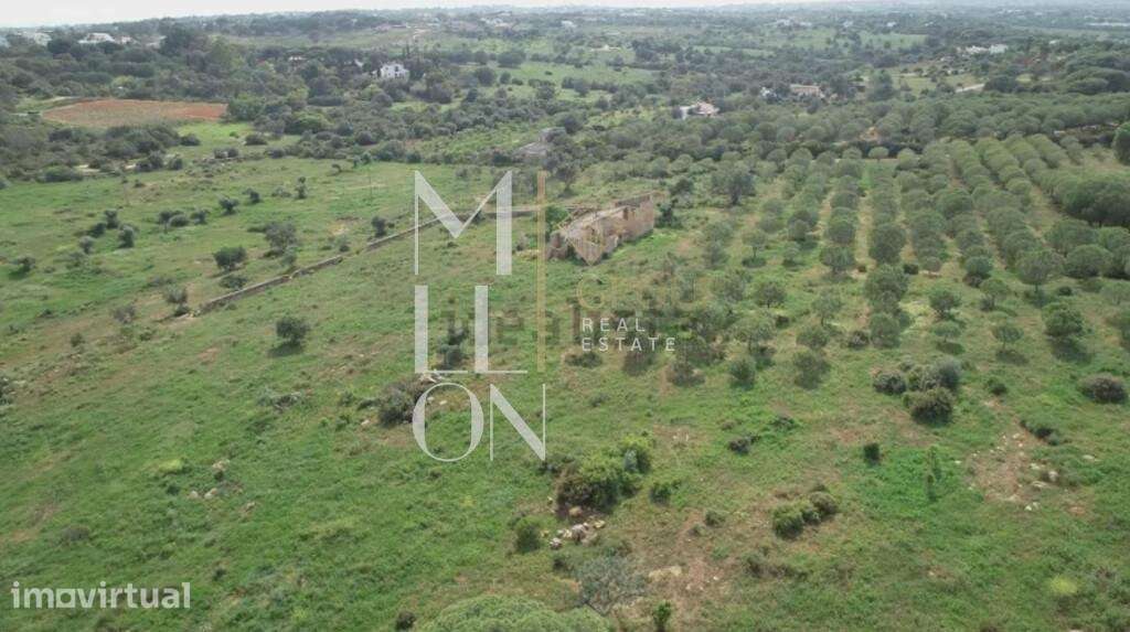 Quinta de 17 Hectares em Porches | A 5 Minutos do Mar | Potencial Turí - Grande imagem: 5/7