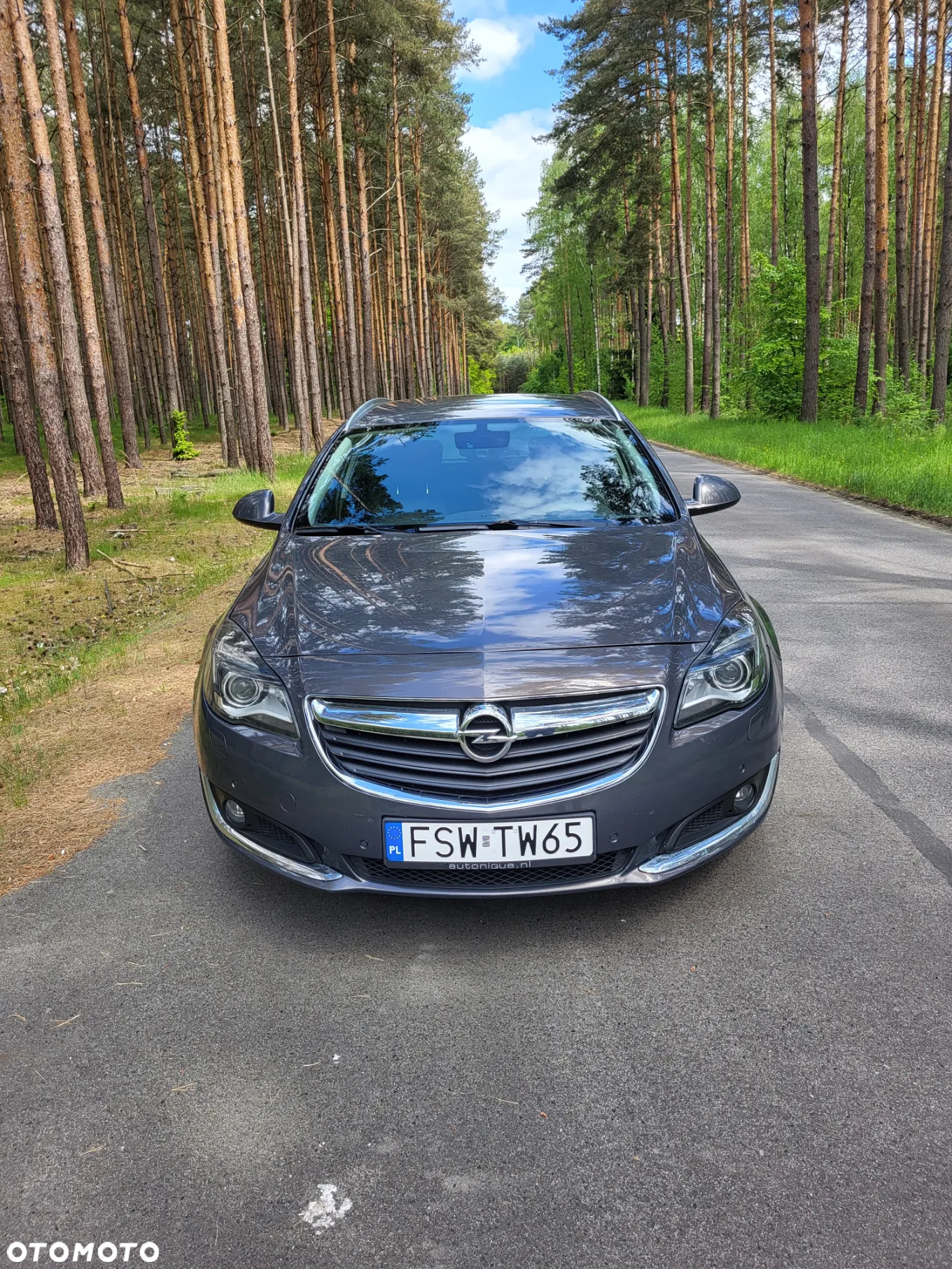Opel Insignia 2.0 CDTI EcoFLEX S&S - 19